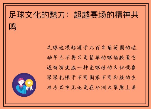足球文化的魅力：超越赛场的精神共鸣